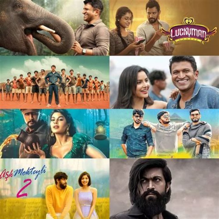2024 Kannada Films: Highest Grossing & Reviews