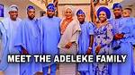A Glimpse into the Adeleke Family Net Worth 2024