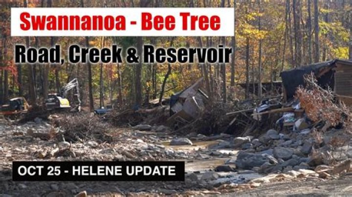 Bee Tree Dam NC: A Comprehensive Guide to Nature's Hidden Gem