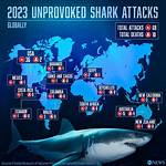 Beware: Recent Shark Attacks Haunt Hilton Head in 2024