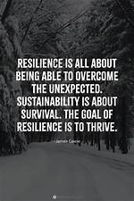 Brea Bowlin: a Journey Through Passion and Resilience
