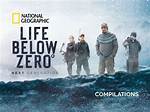 Cole Sturgis: Life Below Zero Unveiled