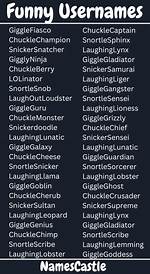 Creative and Hilarious: the Best Funny Usernames for Every Occasion