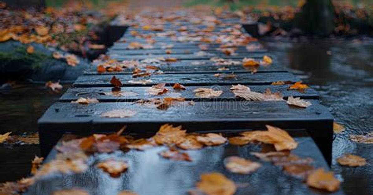 Crossing the Threshold: the Bridge That Leaves the World Behind