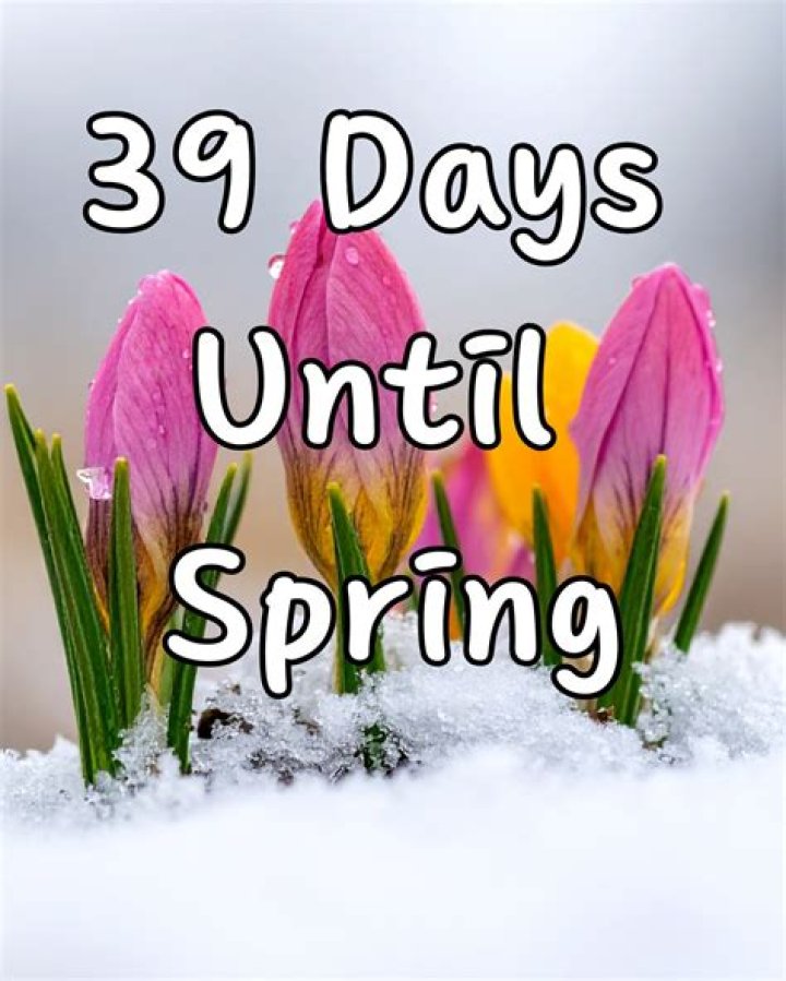 Days Until Spring: Countdown to Nature's Awakening