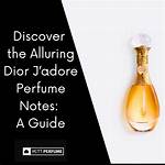 Discover the Allure of the J'adore Backpack