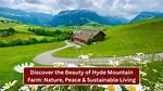 Discover the Beauty of Hovland Hyde: Unforgettable Norwegian Heights