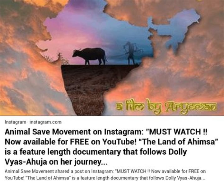 Dive Into Veganism: Inspiring Movies to Watch Now!