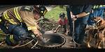 Dramatic Rescue: Dog Escapes Storm Drain Nightmare