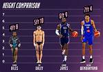 Examining Height and Weight in Basketball