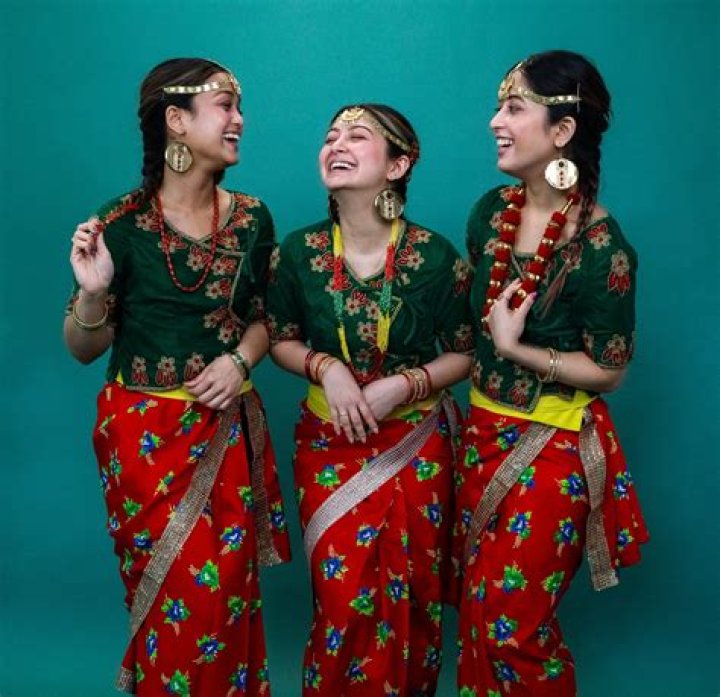 Explore Desi Junction: Your Guide to South Asian Culture!