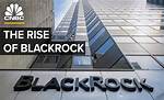 Exploring the Black Rock Company: a Leader in Investment Management