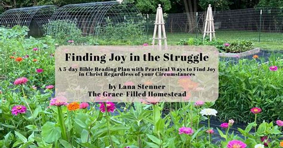 Finding Joy in the Struggle: the Battle for Happiness