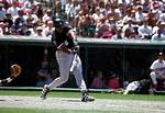 Frank Thomas