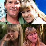 Heartfelt Concerns: the Terri Irwin Heart Attack Incident