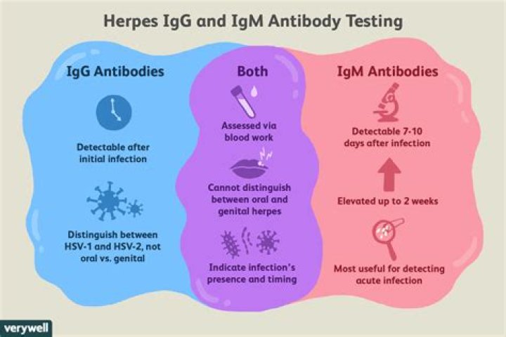 HSV-2 IGG Positive: Understanding the Risks and Implications