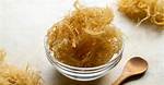 Irish Sea Moss in Spanish