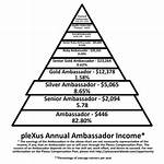 Is Plexus a Pyramid Scheme?