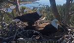 Jackie Young Husband: a Deep Dive into Her Life and Career