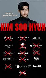 Kim Soo Hyun Endorsements: the Star Behind the Brands