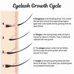 Lash Grow: the Ultimate Guide to Achieving Longer and Thicker Lashes