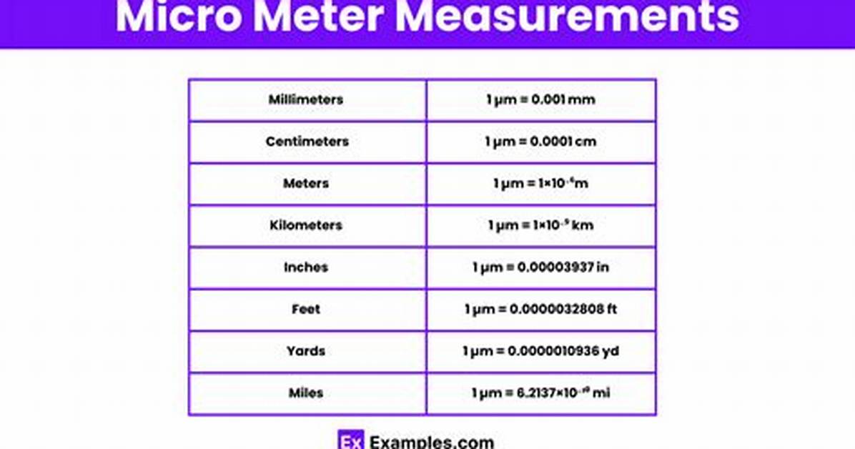 Micrometer Unit Test Java |