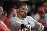 Nick Castellanos Bio (Wiki)