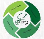 Sotwe Ifsa: Exploring Origins & Impact in the Community & Finance