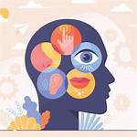 **The Enigma of Perception: and I Got Eyes in the Back of My Head**