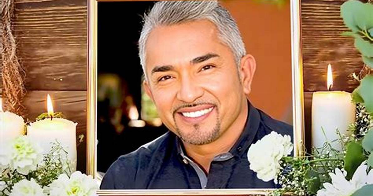 The Impact of the Dog Whisperer Tragedy: Lessons and Reflections