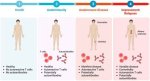 The Ultimate Guide to Radamm: Understanding and Treating This Autoimmune Disease