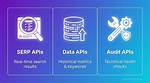 The Ultimate Guide to Seo Data Apis: Unlocking Your Seo Potential