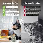The Ultimate Guide to Steeping Catnip Tea