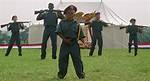 Tiger Major Payne: the Rise of an Unconventional Hero