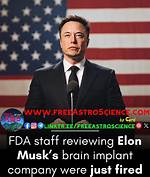 Uncover the Fascinating Truth Behind Elon Musk's Scar