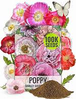 Uncovering the Paternity of Poppy