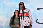 Unraveling the Mystery: Snoop Dogg Arrest 2024