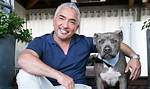 Unveiling Cesar Millan's Net Worth: Secrets and Insights