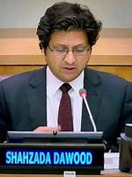 Unveiling Shahzada Dawood's Net Worth: Discoveries and Insights