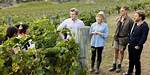 Unveiling the Heart of "Under the Vines" Season 3: Discoveries and Revelations