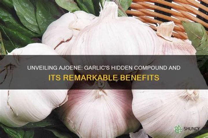 Unveiling the Remarkable Garlic Benefits for Women