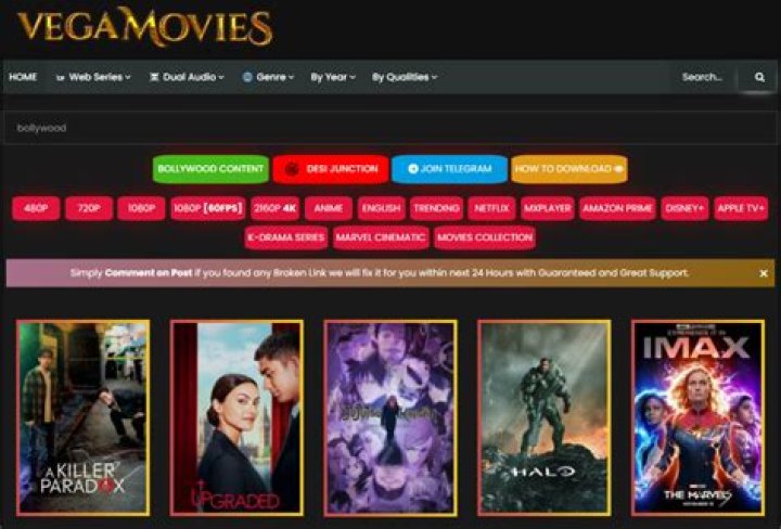 Unveiling the World of Vegamovies Desi Junction Hindi Dubbed: Your Guide