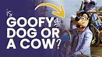 What Animal Is Goofy? Disney History & Confusion