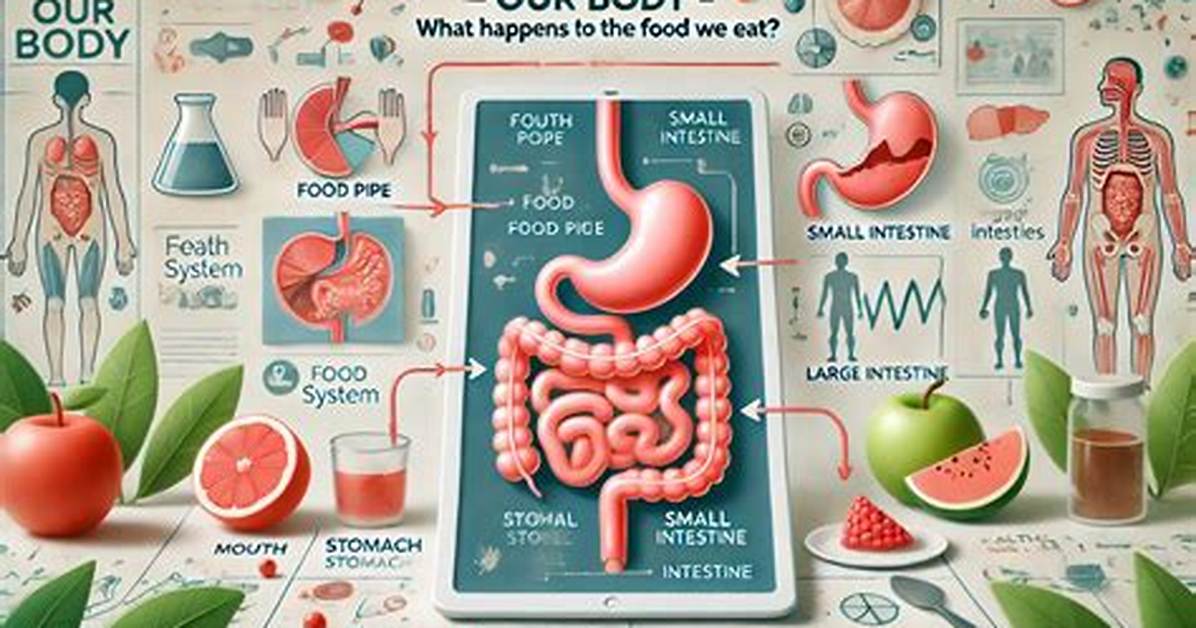 What Happens to the Food?"