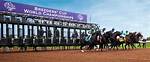 What to Know About Breeders Cup 2023: Start Time, Favorites, Post Positions and More
