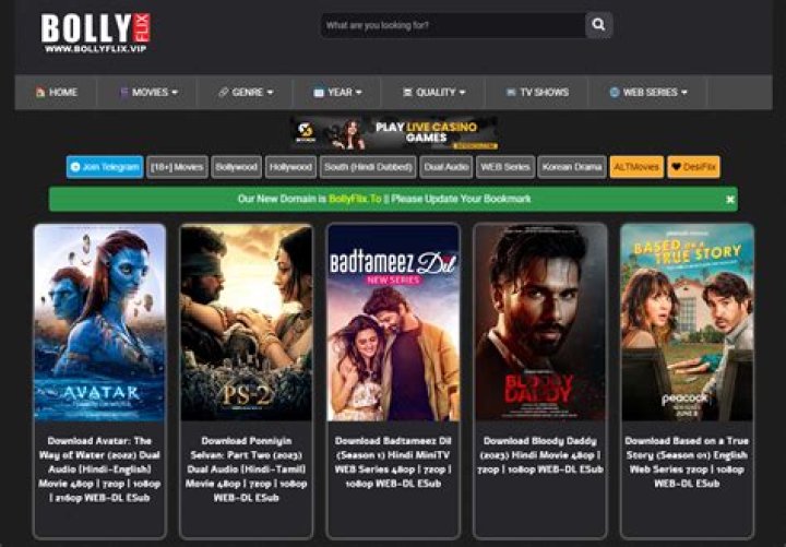 Where to Watch Bollywood Movies? Plus Bollyflix & Streaming Info