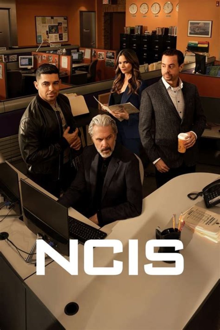 Who Plays Agent David on NCIS: A Comprehensive Guide to the Character and Actor